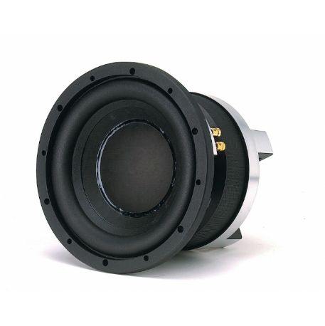 ALTOPARLANTE WOOFER 10” POLLICI 25 CM 400 WATT 4 OHM TM-10 P.Audio