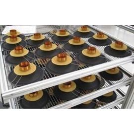 RICONATURA RECON RECONE KIT RCK 21IPAL PER ALTOPARLANTE WOOFER 21 IPAL 1 OHM B&C Speakers