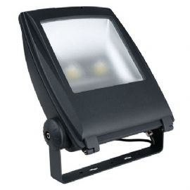 Faro Proiettore da Esterno IP65 Floodlight 100W Chip LED Epistar Showtec 30764