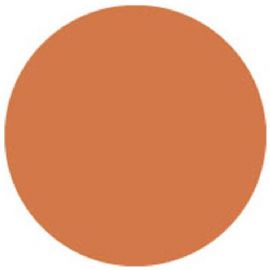 Rotolo Filtro Colore Gelatina 122 x 55 cm Color Roll 105 Arancione Orange Showtec 20105S