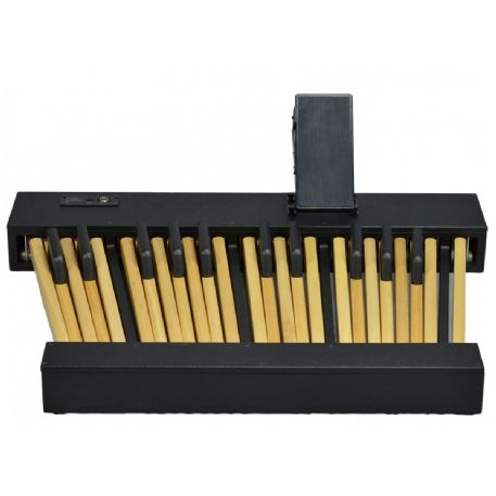 PEDALIERA 25 TASTI CON PEDALE VOLUME MIDI 25 Notes Pedalboard Iclusive Volume Pedal PER ORGANO LITURGICO PORTATILE SERIE LEGEND E LEGEND LIVE