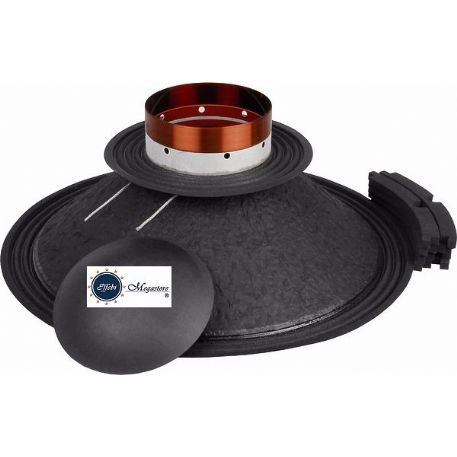 REP-KIT RECON KIT RICONATURA CELESTION FTR15-3070E 15 Pollici 8ohm