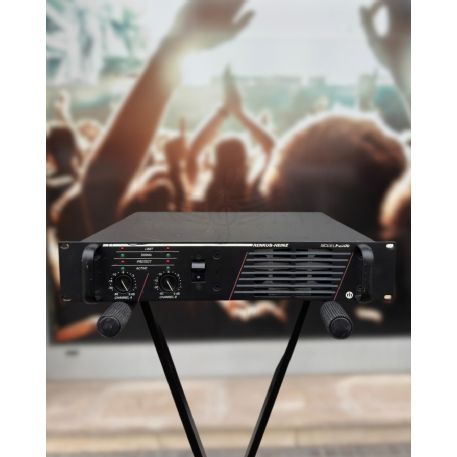 FINALE DI POTENZA RENKUS-HEINZ P2000 2 x 600W 2ohm | 2 x 500W 4 ohm | 2x 300 8ohm- Usato