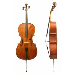 Violoncelli